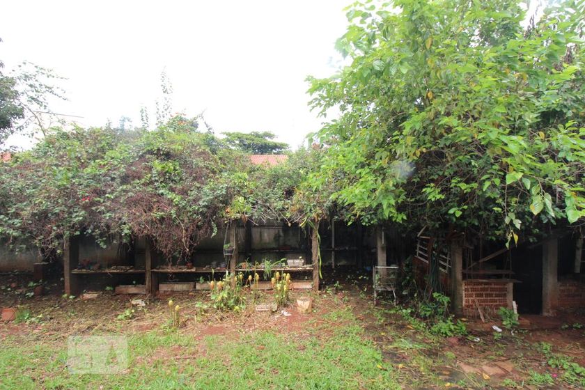 Casa à Venda - Barão Geraldo - Centro, 5 Quartos,  287 m2 em , Campinas - sp | SoloBR