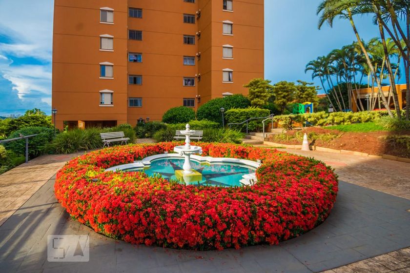 Apartamento à Venda - Jardim Planalto, 3 Quartos,  73 m2 em , Campinas - sp | SoloBR