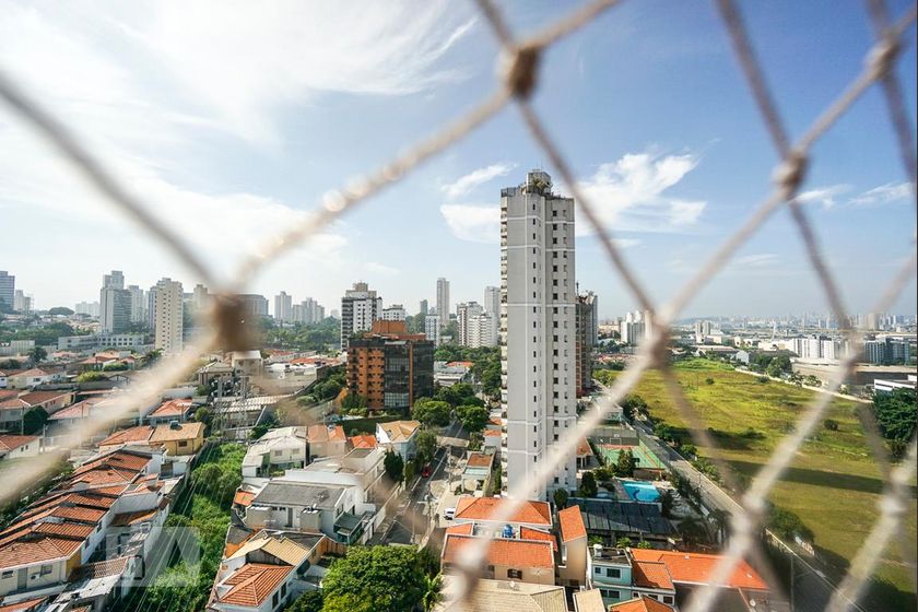 Casa, 4 quartos, 520 m² - Foto 46