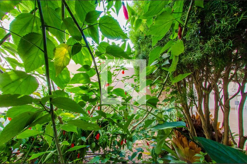 Casa à Venda - Jardim Flamboyant, 3 Quartos,  137 m2 em , Campinas - sp | SoloBR