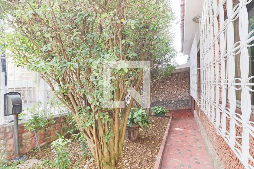 Casa, 4 quartos, 283 m² - Foto 161