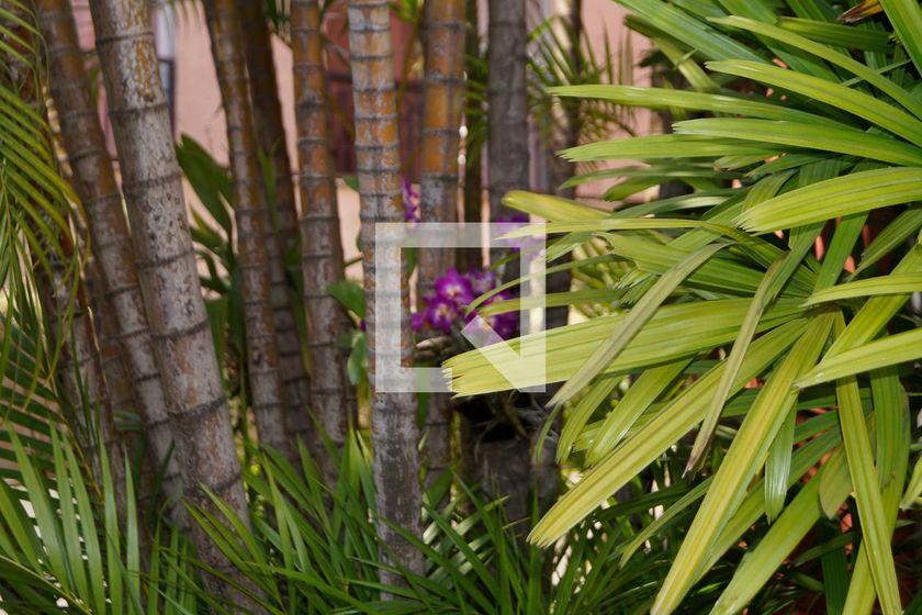 Apartamento, 2 quartos, 60 m² - Foto 115