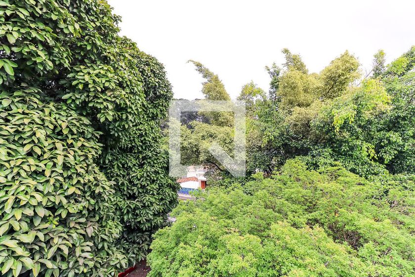 Casa, 4 quartos, 255 m² - Foto 57