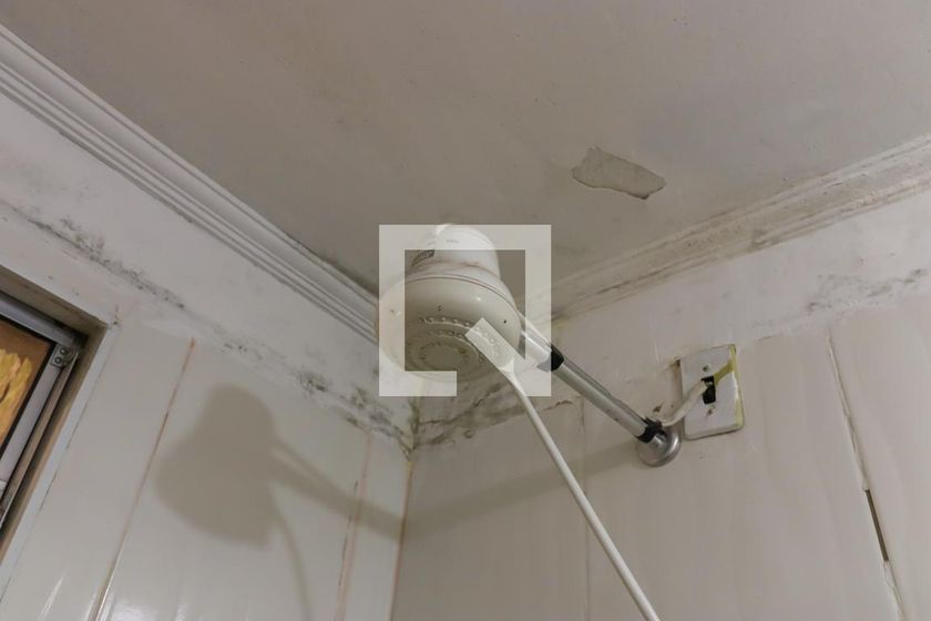 Casa, 4 quartos, 250 m² - Foto 61