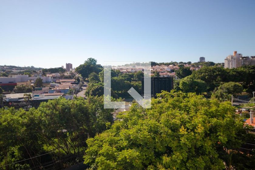 Apartamento à Venda - Cambuí, 3 Quartos,  110 m2 em , Campinas - sp | SoloBR