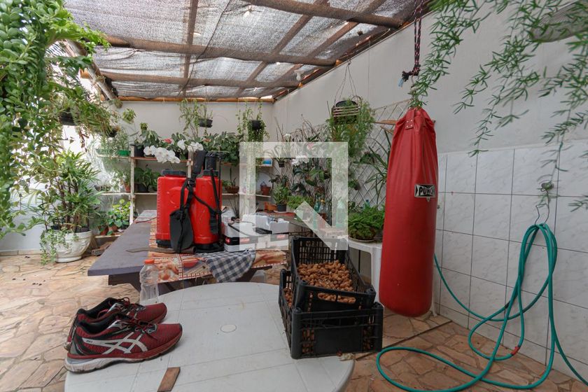 Casa à Venda - Vila Brandina, 3 Quartos,  220 m2 em , Campinas - sp | SoloBR