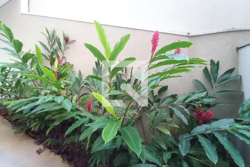 Casa à Venda - Swiss Park, 3 Quartos,  390 m2 em , Campinas - sp | SoloBR