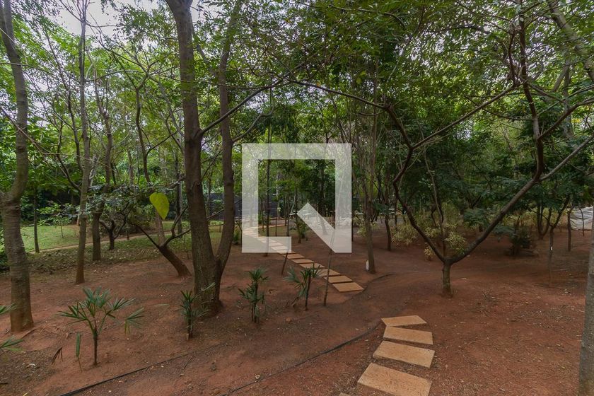 Apartamento à Venda - Mansões Santo Antônio, 4 Quartos,  181 m2 em , Campinas - sp | SoloBR