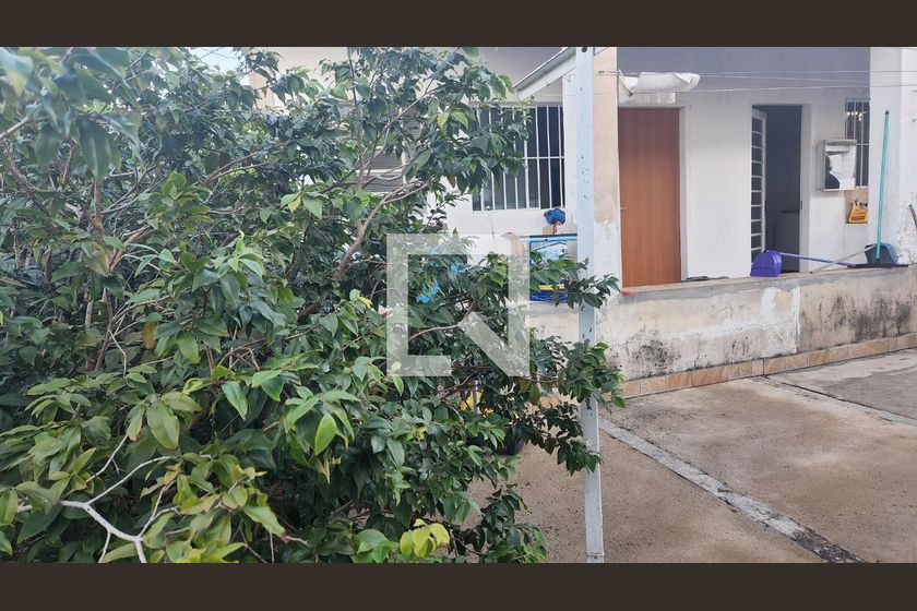Casa à Venda - Nova Campinas, 4 Quartos,  260 m2 em , Campinas - sp | SoloBR