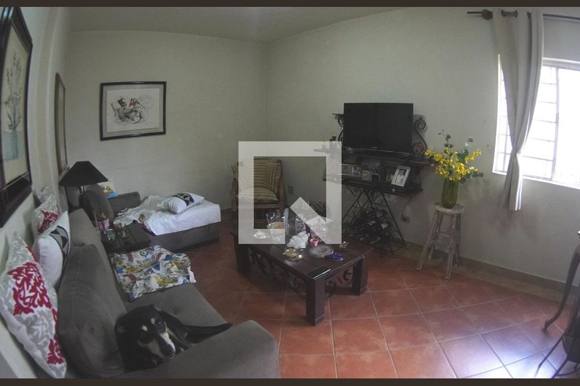 Casa, 3 quartos, 550 m² - Foto 2