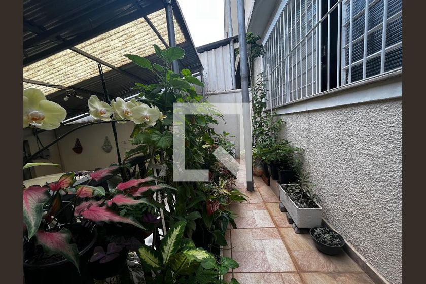 Casa à Venda - Jardim Chapadão, 6 Quartos,  355 m2 em , Campinas - sp | SoloBR