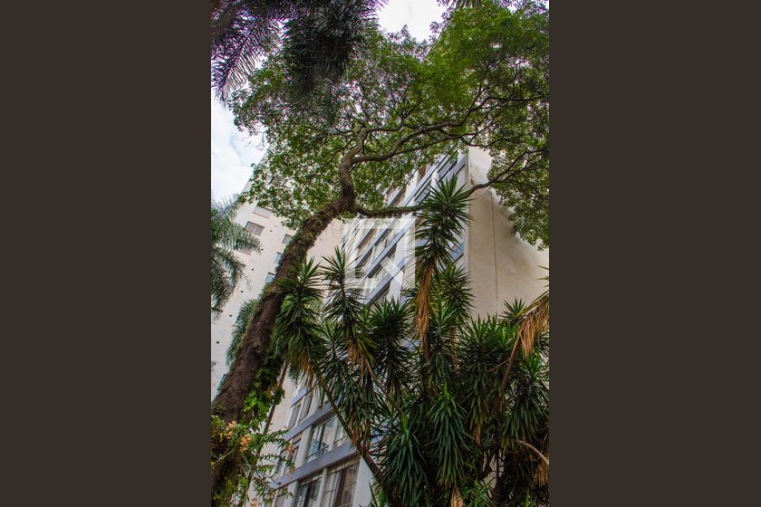 Apartamento à Venda - Centro, 3 Quartos,  158 m2 em , Campinas - sp | SoloBR