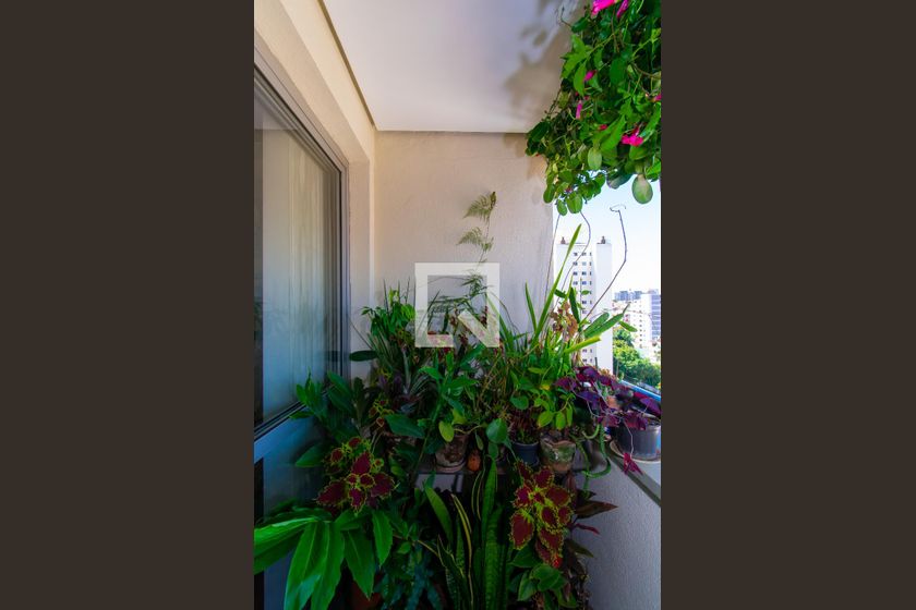 Apartamento, 3 quartos, 72 m² - Foto 19