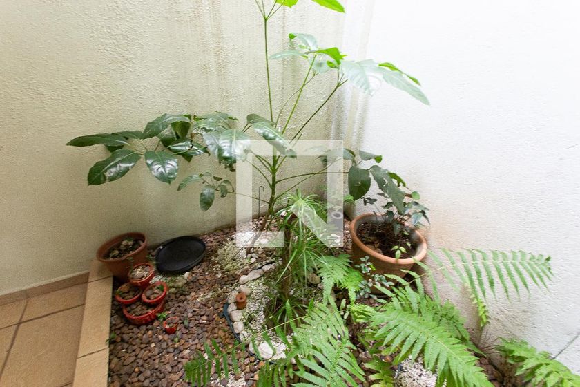 Casa, 3 quartos, 219 m² - Foto 109