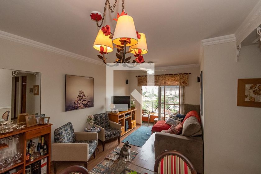 Apartamento à Venda - Jardim Flamboyant, 3 Quartos,  75 m2 em , Campinas - sp | SoloBR