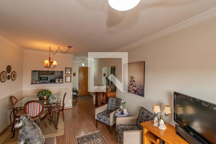 Apartamento à Venda - Jardim Flamboyant, 3 Quartos,  75 m2 em , Campinas - sp | SoloBR