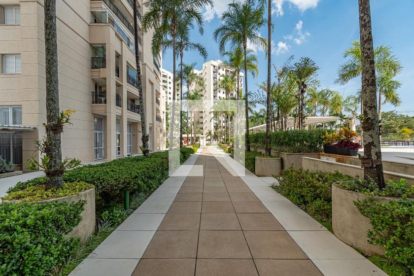 Apartamento à Venda - Vila Brandina, 3 Quartos,  260 m2 em , Campinas - sp | SoloBR
