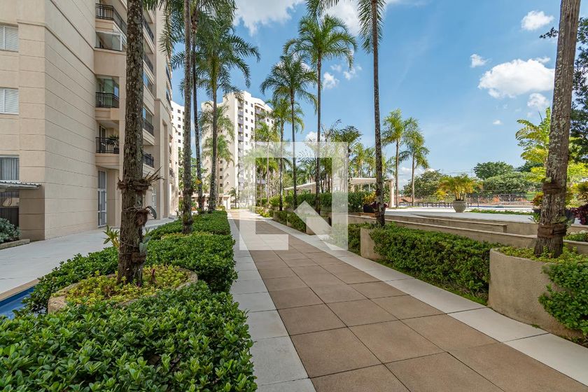 Apartamento à Venda - Vila Brandina, 3 Quartos,  260 m2 em , Campinas - sp | SoloBR
