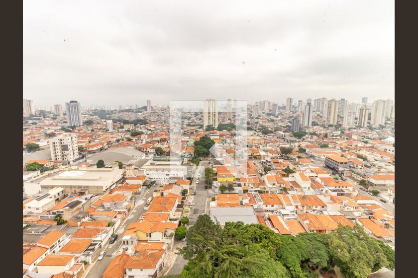 Cobertura, 3 quartos, 250 m² - Foto 63