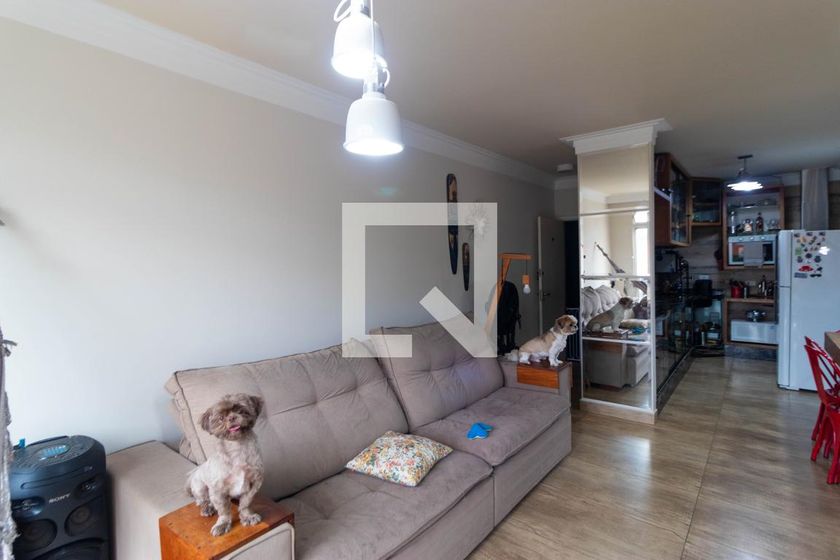 Apartamento à Venda - Centro, 2 Quartos,  77 m2 em , Campinas - sp | SoloBR