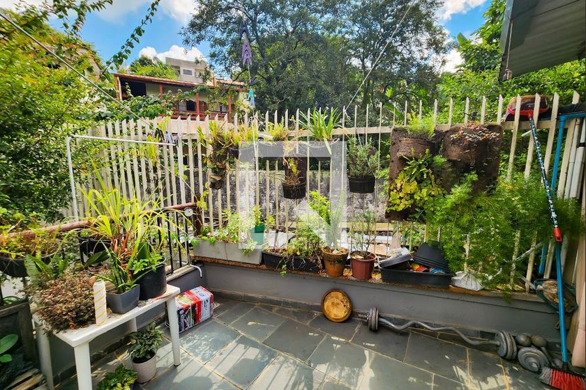 Casa, 4 quartos, 470 m² - Foto 245