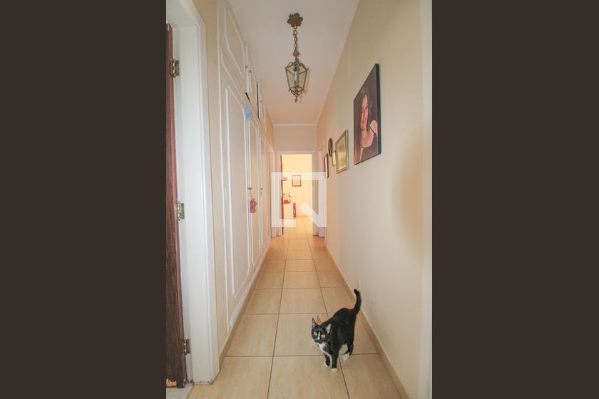 Casa à Venda - Nova Campinas, 3 Quartos,  350 m2 em , Campinas - sp | SoloBR