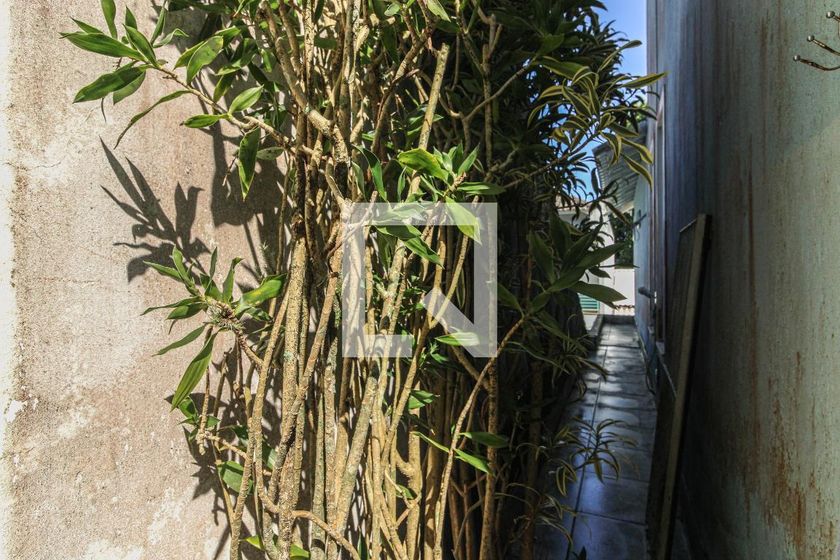 Casa, 3 quartos, 250 m² - Foto 57