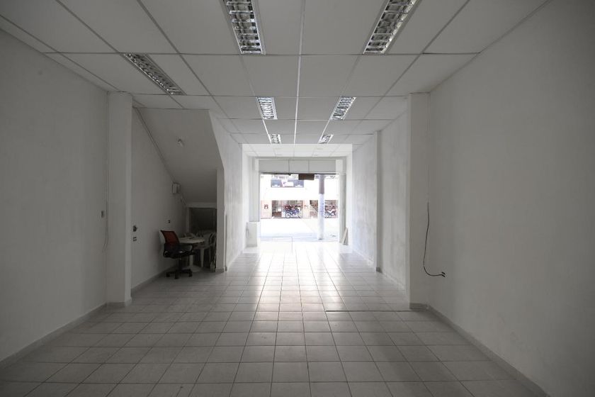 Casa, 4 quartos, 244 m² - Foto 85