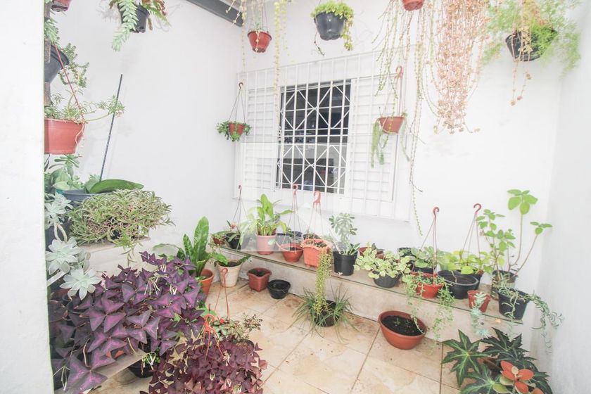 Casa à Venda - Jardim Flamboyant, 3 Quartos,  176 m2 em , Campinas - sp | SoloBR
