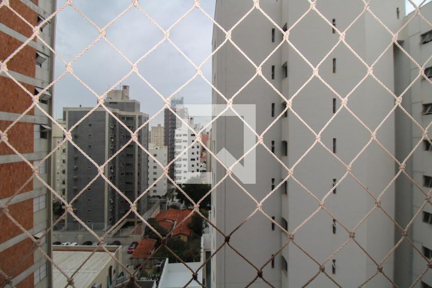 Apartamento à Venda - Cambuí, 4 Quartos,  374 m2 em , Campinas - sp | SoloBR
