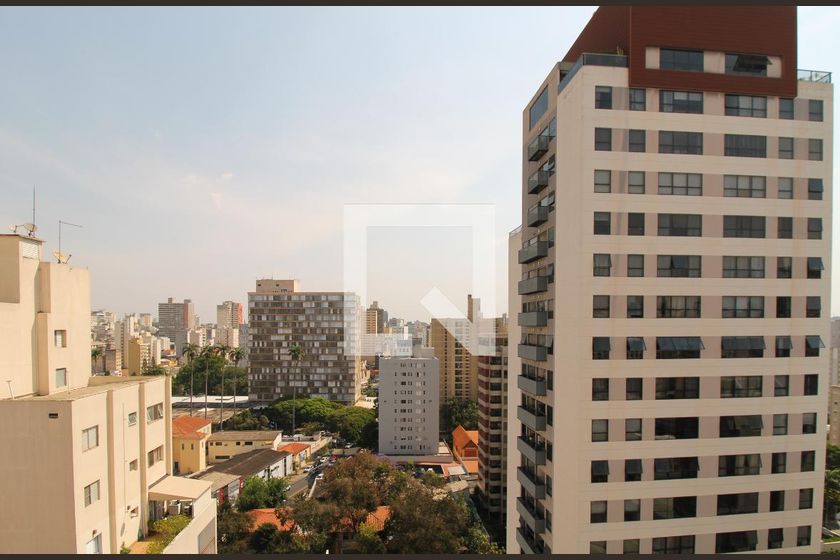Apartamento à Venda - Cambuí, 5 Quartos,  552 m2 em , Campinas - sp | SoloBR
