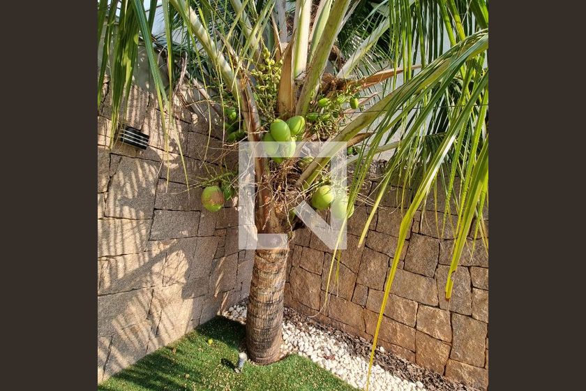 Casa à Venda - Swiss Park, 3 Quartos,  376 m2 em , Campinas - sp | SoloBR