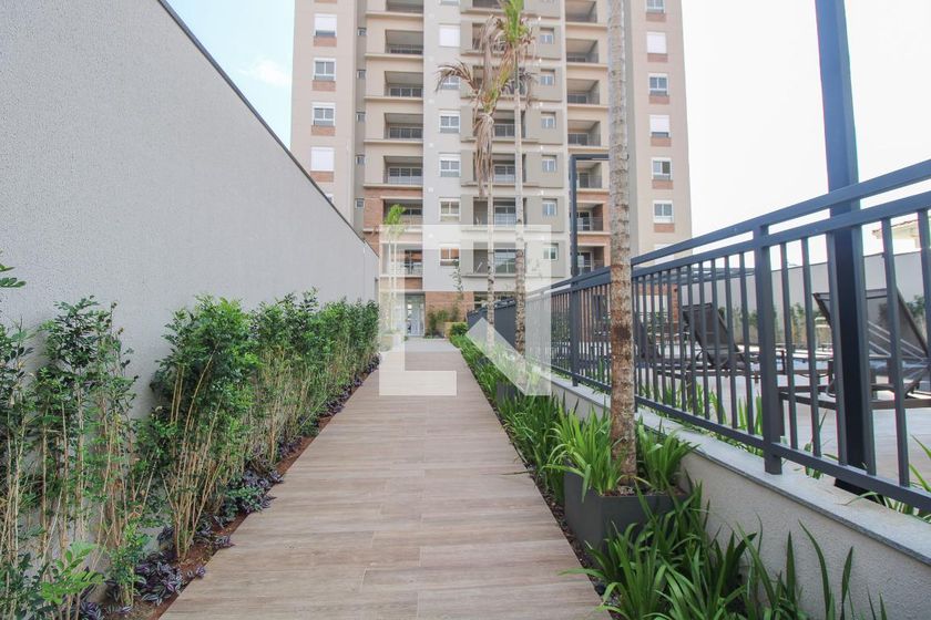 Apartamento à Venda - Jardim Planalto, 2 Quartos,  59 m2 em , Campinas - sp | SoloBR