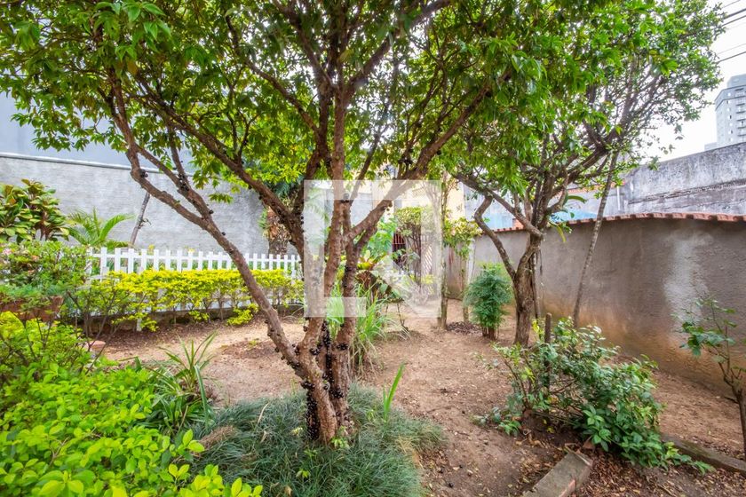 Casa, 3 quartos, 229 m² - Foto 45