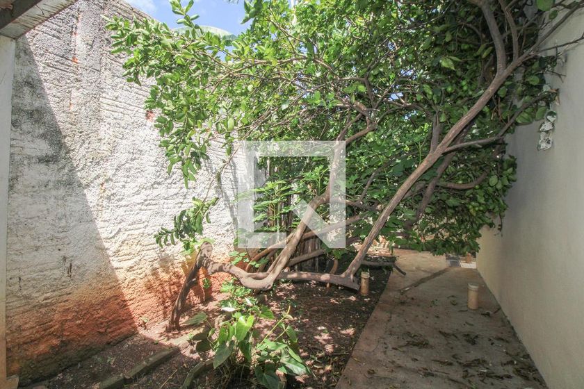 Casa à Venda - Jardim Planalto, 2 Quartos,  330 m2 em , Campinas - sp | SoloBR