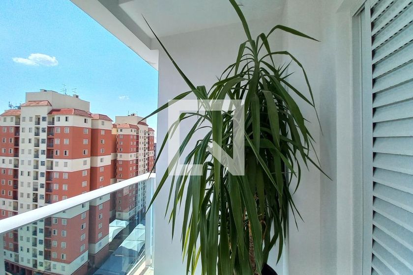 Apartamento à Venda - Guanabara, 3 Quartos,  220 m2 em , Campinas - sp | SoloBR