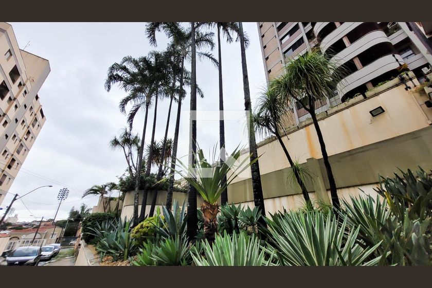 Apartamento à Venda - Bosque, 3 Quartos,  210 m2 em , Campinas - sp | SoloBR
