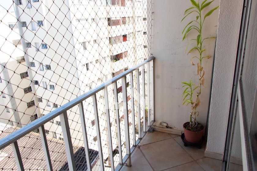 Apartamento à Venda - Cambuí, 3 Quartos,  104 m2 em , Campinas - sp | SoloBR