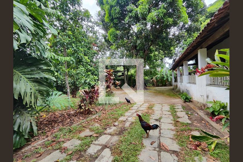 Casa, 4 quartos, 400 m² - Foto 107