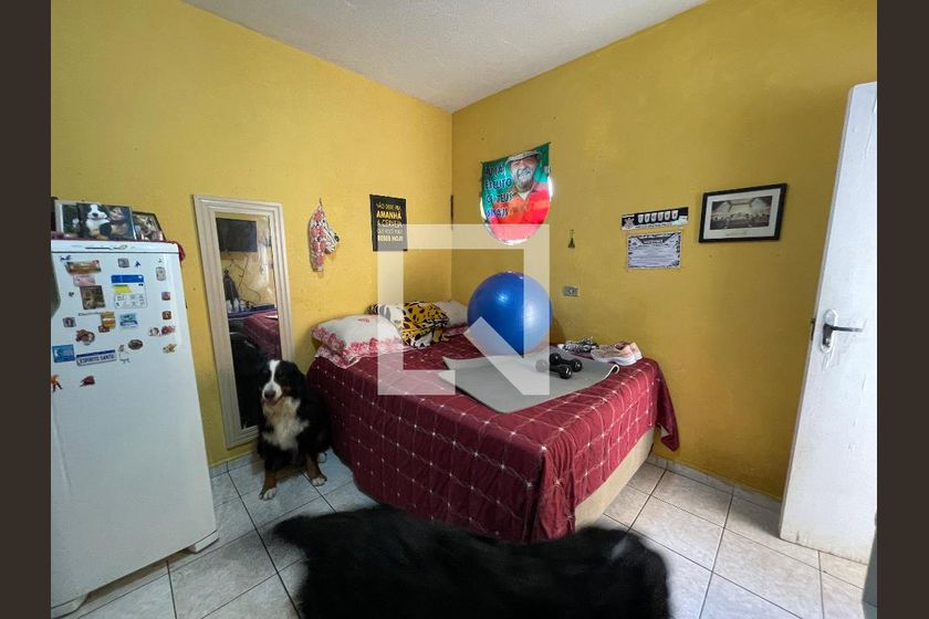 Casa, 5 quartos, 250 m² - Foto 83