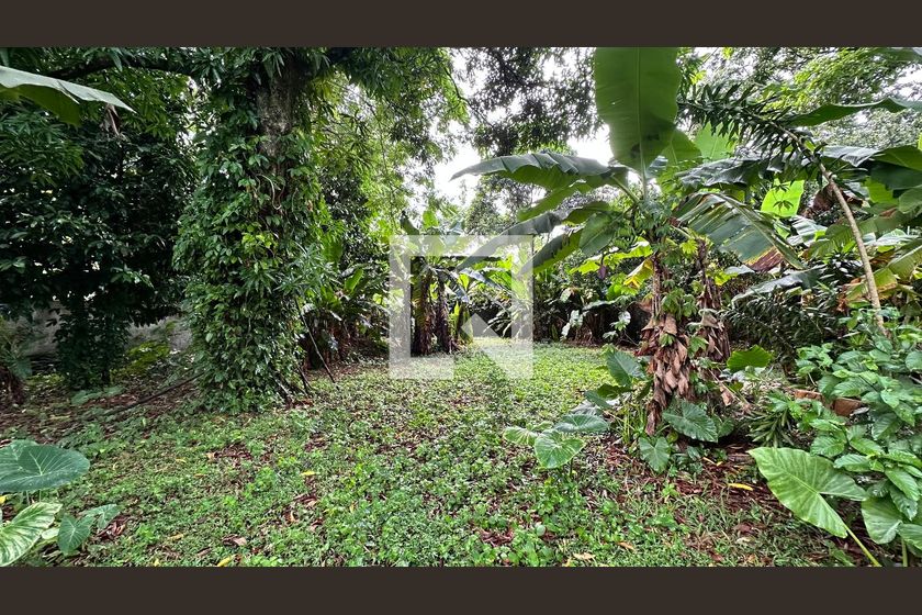 Casa, 2 quartos, 1506 m² - Foto 34