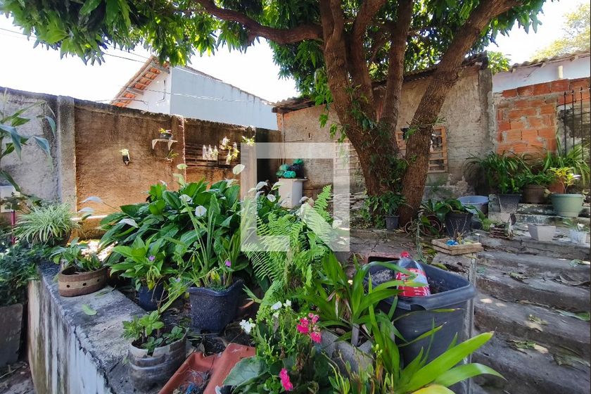 Casa à Venda - Jardim do Lago, 3 Quartos,  300 m2 em , Campinas - sp | SoloBR