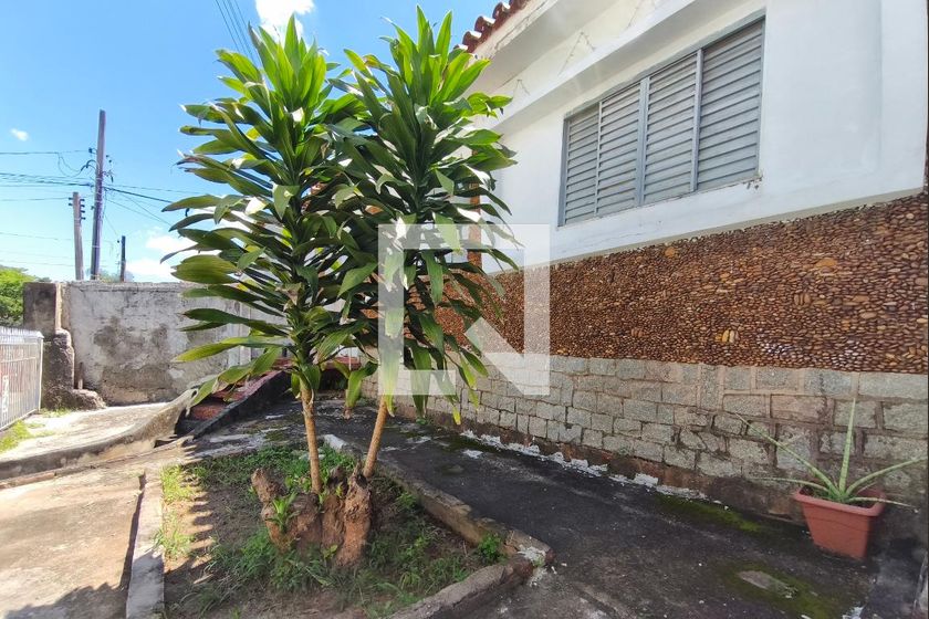Casa à Venda - Jardim do Lago, 3 Quartos,  300 m2 em , Campinas - sp | SoloBR