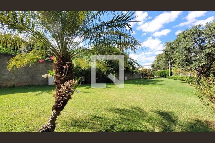 Casa à Venda - Barão Geraldo - Centro, 3 Quartos,  280 m2 em , Campinas - sp | SoloBR