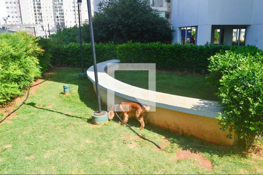 Apartamento, 3 quartos, 69 m² - Foto 78