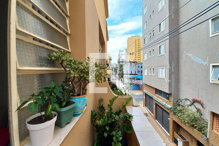 Apartamento à Venda - Centro, 3 Quartos,  85 m2 em , Campinas - sp | SoloBR