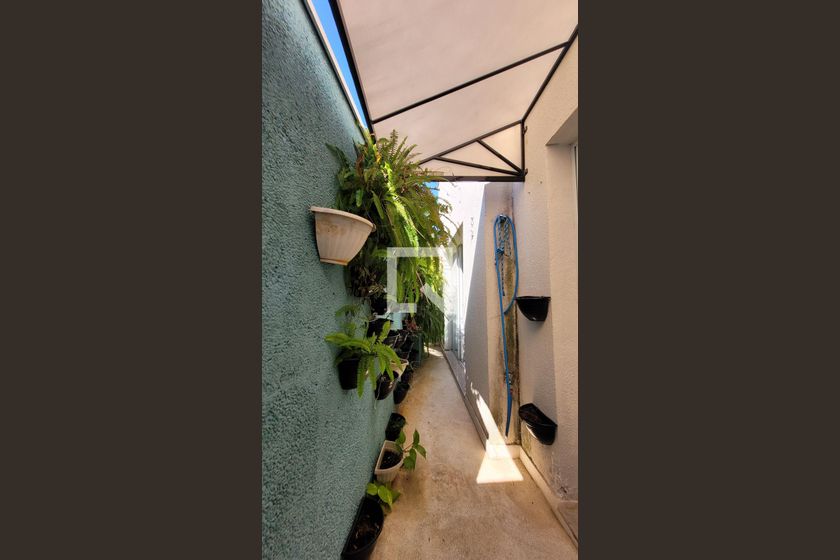Casa à Venda - Cambuí, 2 Quartos,  250 m2 em , Campinas - sp | SoloBR