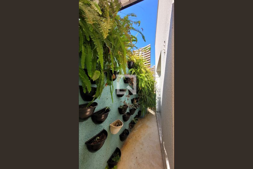 Casa à Venda - Cambuí, 2 Quartos,  250 m2 em , Campinas - sp | SoloBR