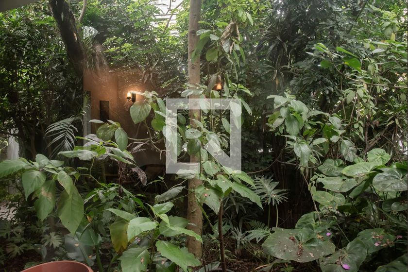 Casa, 5 quartos, 320 m² - Foto 17