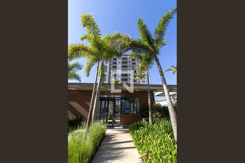 Apartamento à Venda - Jardim Planalto, 2 Quartos,  59 m2 em , Campinas - sp | SoloBR